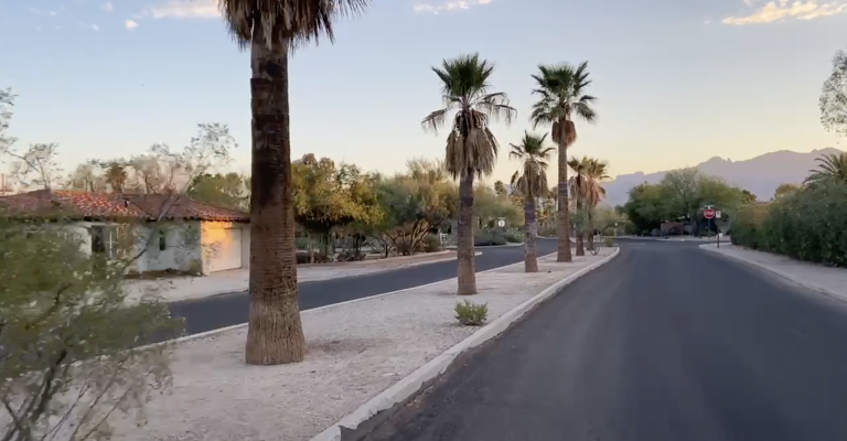 Palm Tree lined streets of the Catalina Vista neighborhood of Tucson
